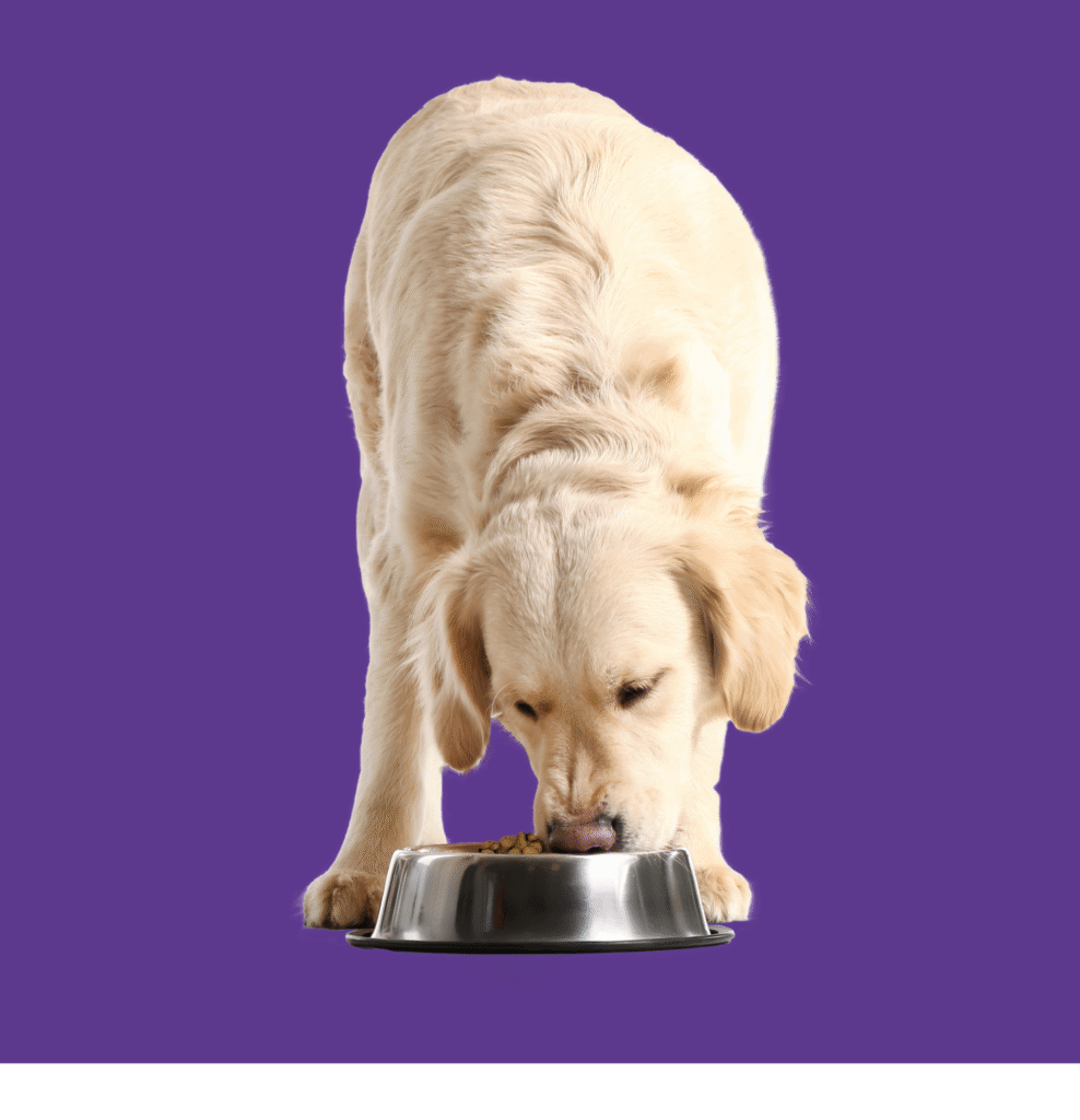 gastrointestinal & digestive care