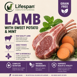lamb with sweet potato and mint