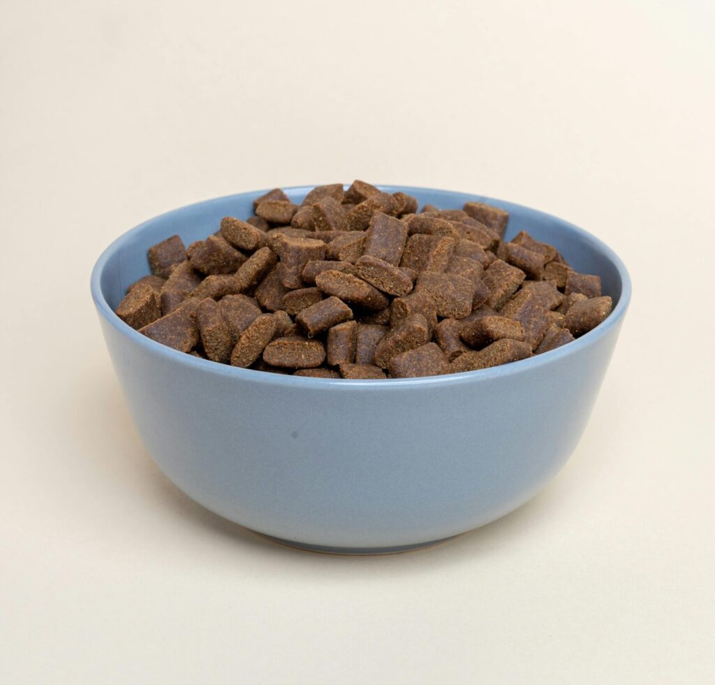 Studio shot of a blue bowl filled with brown pet food pellets against a neutral white background.
