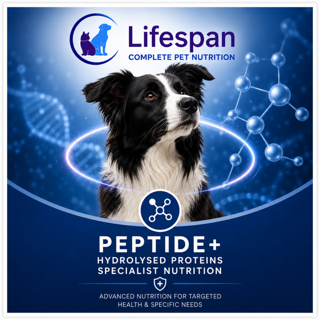 petide+ 01